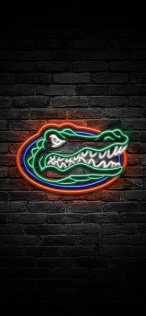 Florida Gators Logo In Neon Lights wallpaper.