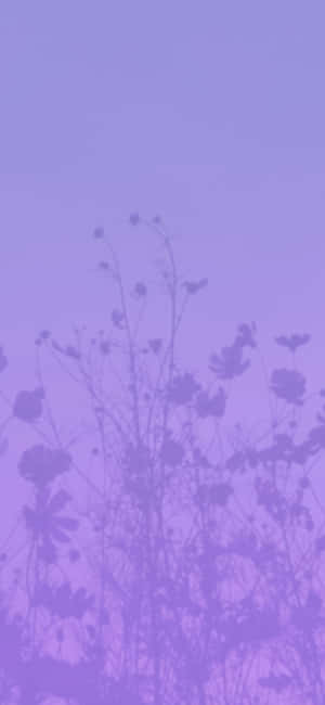 Aesthetic Purple Pictures — Galaxy S24 Wallpaper