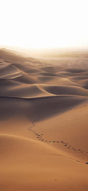 Desert Iphone — iPhone Se Wallpaper