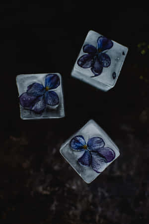 Frozen Blue Flowers Phone — Huawei MatePad 11.5 (2026) Wallpaper