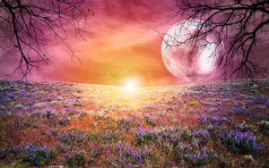 Galaxy Moon at Bulaklak na Parang wallpaper — Galaxy moon Wallpaper