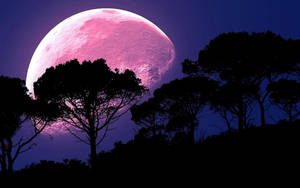 Galaxy Moon At Kagubatan wallpaper — Galaxy moon Wallpaper