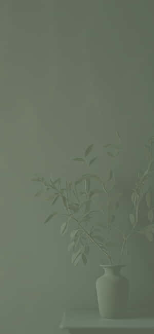 Sage Green Background — iPhone 16e Wallpaper