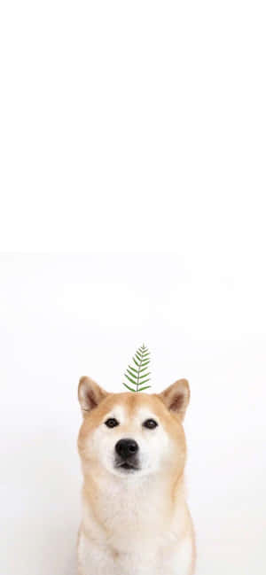 Cute Animal Iphone — Pixel 9 Pro XL Wallpaper