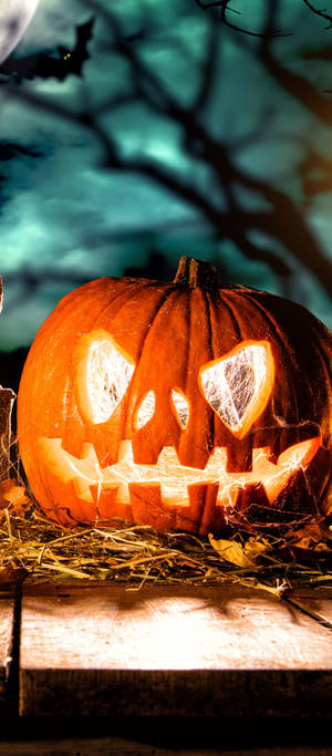 Cute Halloween Phone — OnePlus 11 Wallpaper