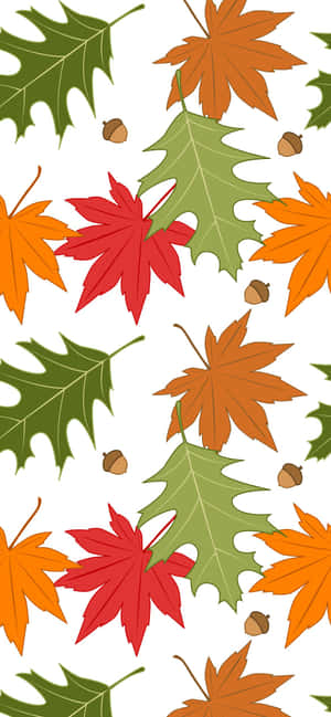Best Fall Background — iPhone 17 Pro Wallpaper