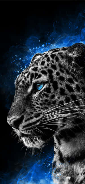 Animals Iphone — iPhone 12 Wallpaper