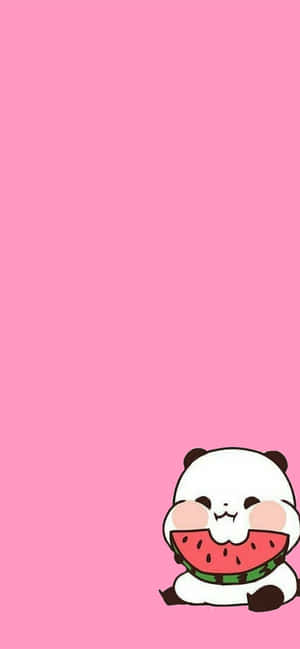 Girly Cute Panda Pink Watermelon — Pixel 8a Wallpaper
