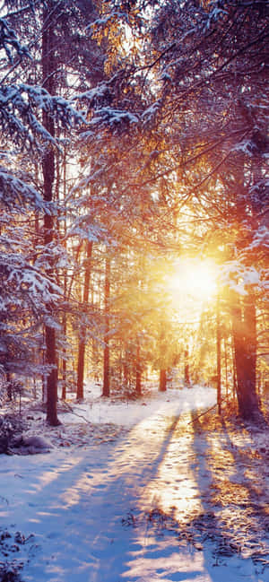 Iphone Xs Max Winter Background — iPhone 16 Pro Max Wallpaper
