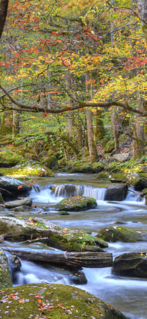 Great Smoky Mountains National Park River Rocky — Pixel 8a Wallpaper
