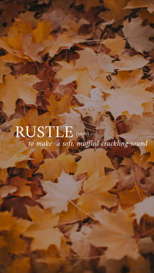 Mga larawan ng Aesthetic Words — Aesthetic na salita Wallpaper