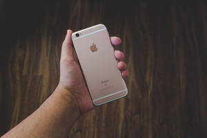Kamay na may hawak na rose gold iPhone 6 wallpaper
