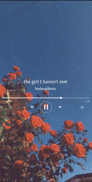 Hayaan mong dumaloy ang iyong aesthetic na musika — Aesthetic music Wallpaper