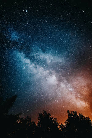 Mataas na Resolusyong Bituin at mga Puno — Stars Wallpaper