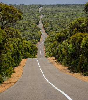 Highway 1 Of Australia wallpaper — Nubia Fold Wallpaper