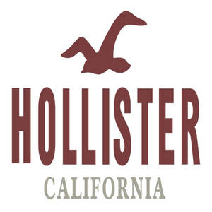 Hollister classic logo wallpaper — Tecno Phantom V Flip2 Wallpaper