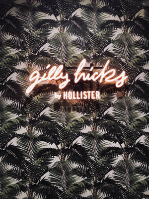 Hollister palm tree leaves wallpaper — 3:4 Wallpaper