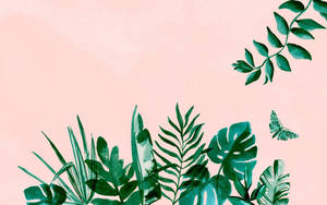 Iba't Ibang Uri ng Dahon Aesthetic Mac — Aesthetic mac Wallpaper