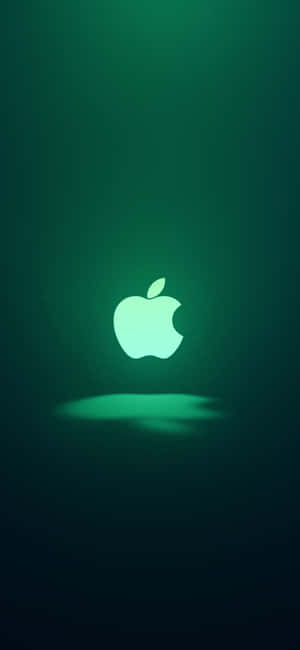 Iphone 11 Berde — Xiaomi 14 Wallpaper