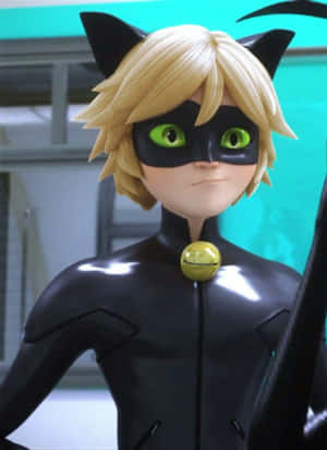 Mga larawan ni Cat Noir
