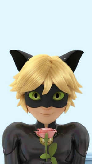 Mga larawan ni Cat Noir