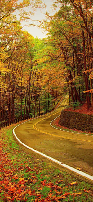Iphone Xs Max Autumn Background — iPhone 15 Plus Wallpaper
