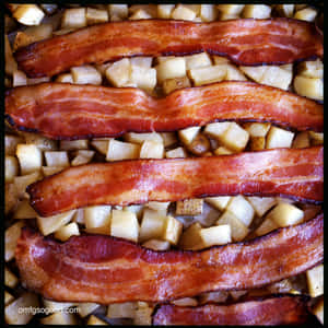 mga larawan ng bacon — Galaxy Watch Wallpaper