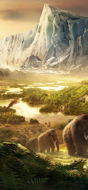 Iphone Xs Max Far Cry 4 Background — OnePlus Wallpaper