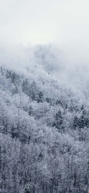 Snow Iphone — Xiaomi 15 Wallpaper