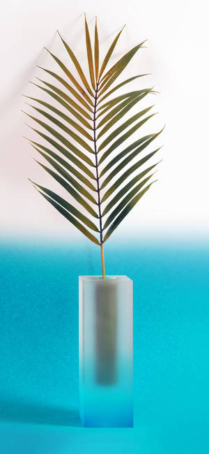 Plant Iphone — Floral iPhone Wallpaper