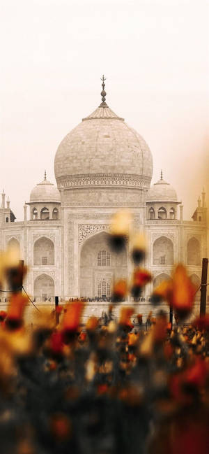 Indian Aesthetic Taj Mahal Bulaklak — Pixel 8 Wallpaper