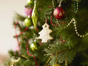 Magagandang larawan ng Pasko — Magandang Pasko Wallpaper