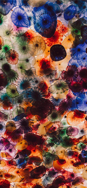 IPhone 11 Pro Max Colorful Jellyfish wallpaper — iPhone 16 Pro Wallpaper