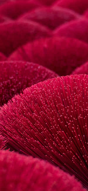 Iphone 11 Red — iPhone 11 Wallpaper