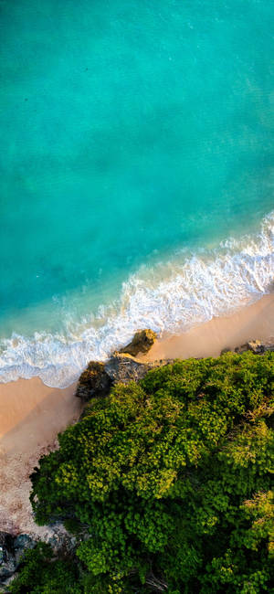 iPhone 7 Beach at Mga Puno — Galaxy A35 Wallpaper