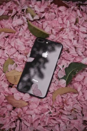 Iphone 8 Flowers