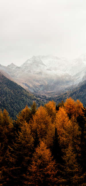 Iphone Fall Aesthetic Orange Trees Mountains — Motorola Edge 70 Fusion Wallpaper
