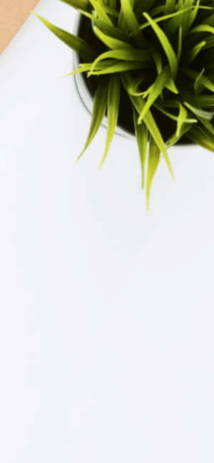Iphone X Desk Background — iPhone X Wallpaper