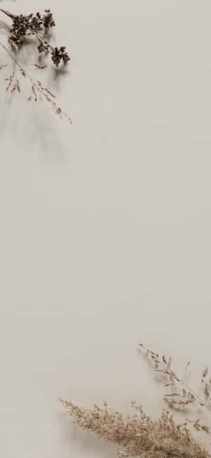 Iphone X Minimal Background — iPhone 18 Wallpaper
