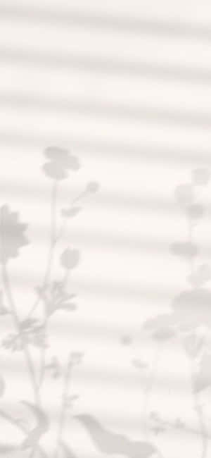 Iphone X Minimal Background — Floral iPhone Wallpaper