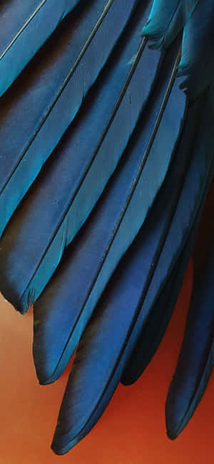 Iphone Xr Stock — Pixel 11 Pro Wallpaper