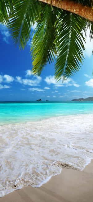 Iphone Xs Beach Background — iPhone 11 Pro Wallpaper