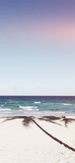Iphone Xs Beach Background — Floral iPhone Wallpaper