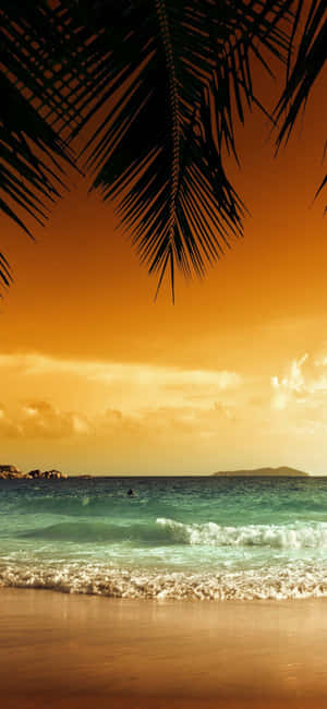 Iphone Xs Beach Background — Vivo T5x Wallpaper