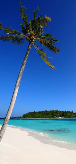 Iphone Xs Dalampasigan Background — iPhone Xs Wallpaper
