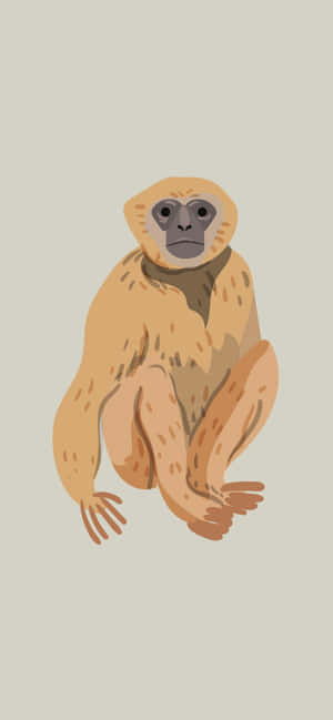 Iphone Xs Max Gibbon Background — OnePlus Wallpaper