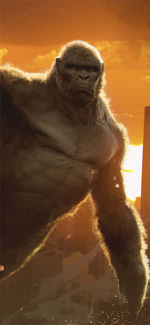 Iphone Xs Max Gorilla Background — Oppo K15 Pro Wallpaper