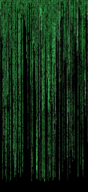 Iphone Xs Programming Background — iPhone 11 Pro Wallpaper