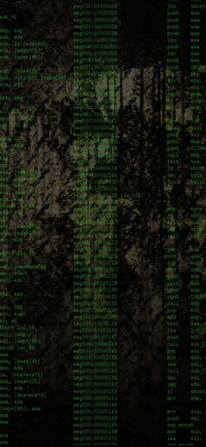 Iphone Xs Programming Background — iPhone 18 Pro Max Wallpaper
