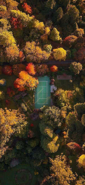 Iphone Xs Tennis Background — iPhone X Wallpaper